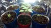 2012-02-10_11-01-30_453.jpg
