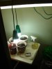 DSC04702.JPG