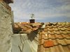 DSC01235.jpg
