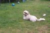100_3042.jpg 100_3042.jpg