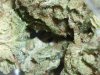 SourD (4).JPG