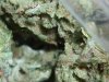SourD (6).JPG