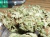 Arjan's Haze (3).JPG