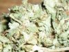 Arjan's Haze (4).JPG