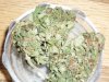 Arjan's Haze (7).JPG