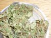 Arjan's Haze (8).JPG
