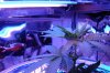 DSC02452.jpg