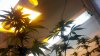 2012-02-13_13-33-22_612.jpg 2012-02-13_13-33-22_612.jpg