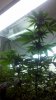 2012-02-13_13-30-55_965.jpg 2012-02-13_13-30-55_965.jpg