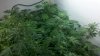 2012-02-13_13-30-20_237.jpg 2012-02-13_13-30-20_237.jpg