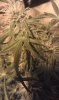 IMAG0565.jpg