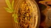 2012-02-14_06-10-24_283.jpg