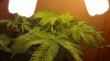20120214152.jpg