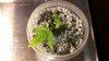 2012-02-11_14-49-01_445.jpg