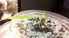 2012-02-11_14-49-11_735.jpg