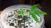 2012-02-11_14-49-23_679.jpg