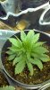 2012-02-12_18-15-23_445.jpg