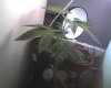 120215_0001.jpg