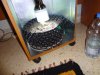 DSC00467.JPG