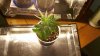 2012-02-16_15-54-01_630.jpg