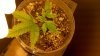 2012-02-16_15-54-31_470.jpg