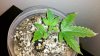 2012-02-16_16-00-05_139.jpg