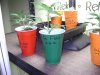 DSC02902.jpg