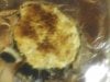stuffed shroom.jpeg