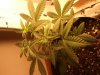2012-02-18 07.07.46.jpg