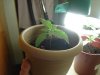 DSC04709.JPG