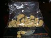 Canadian Sensi 009.jpg