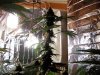 100_5182.jpg 100_5182.jpg
