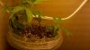 2012-02-19_08-43-34_400.jpg