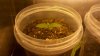 2012-02-19_08-44-48_385.jpg