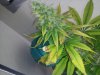 20120219_105004.jpg 20120219_105004.jpg
