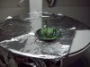 100_3478.jpg 100_3478.jpg