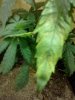 IMG041.jpg