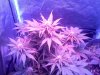 20120317162934.jpg