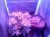 20120317163056.jpg