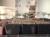 2012-03-17 23.33.22.jpg