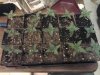 2012-03-17 23.33.08.jpg