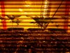2012-03-17 23.23.34.jpg