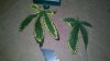 2012-03-18_15-17-00_656.jpg