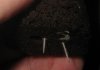 a1-roots.jpg a1-roots.jpg