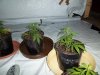 100_0564.jpg