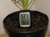 DSC08998.jpg