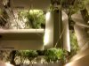 IMG00468-20120319-2125.jpg