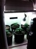 IMG_20120310_112008.jpg