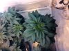 IMG_20120320_091515.jpg