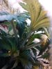 IMG_20120320_091547.jpg